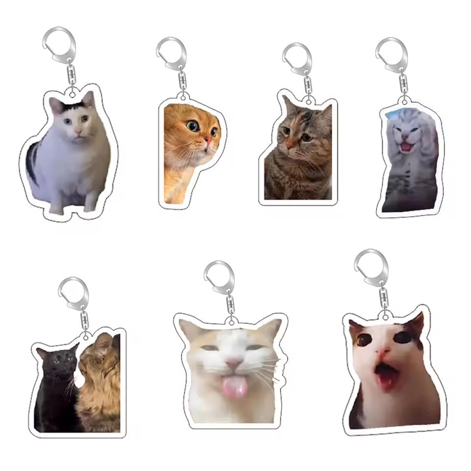 Cute cats