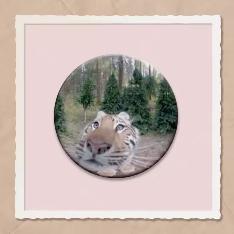 Kawaii Cat Meme Button Pins