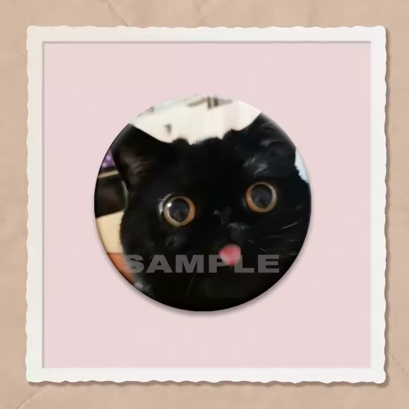 Kawaii Cat Meme Button Pins