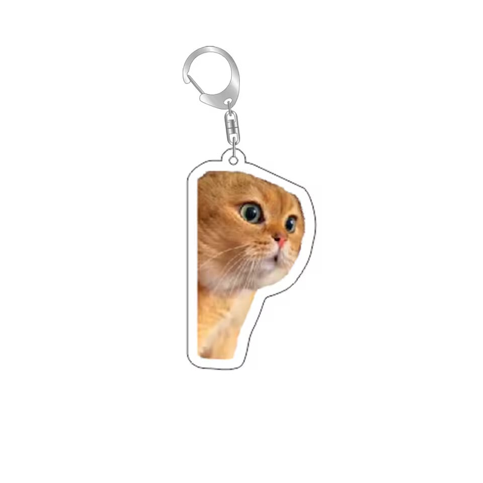 Confused Cat Meme Keychain