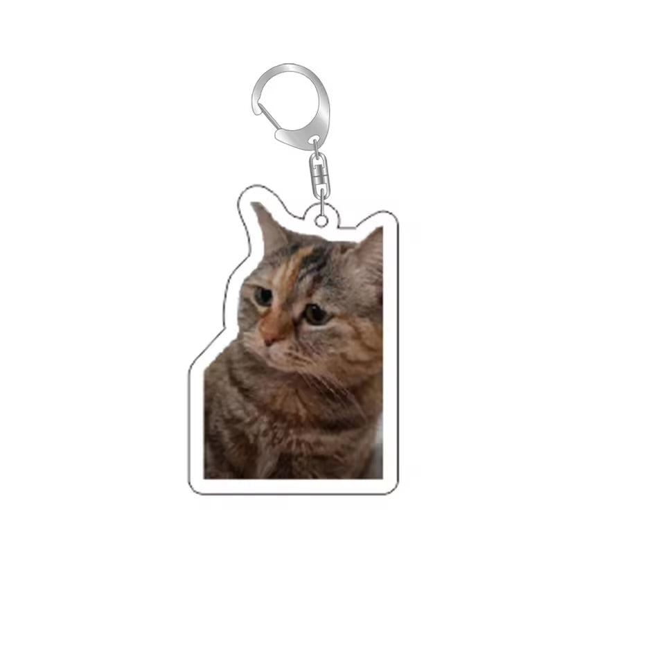 Confused Cat Meme Keychain